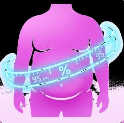 bodyfat Icon